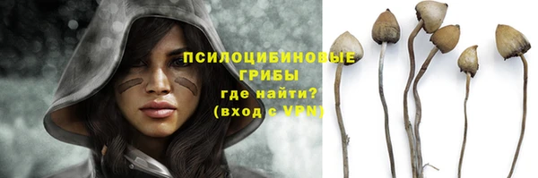 винт Абинск