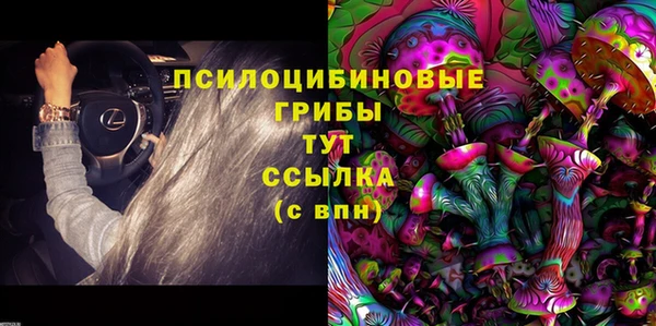 МДПВ Алексеевка
