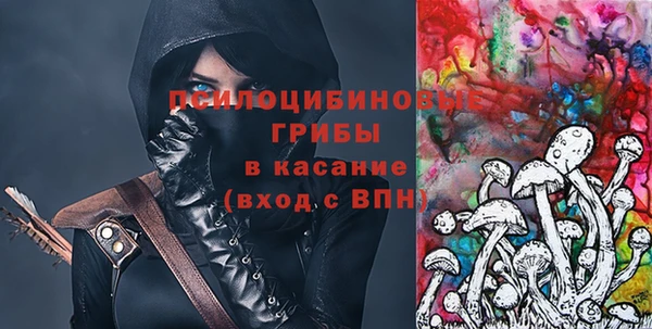 мдпв Абаза