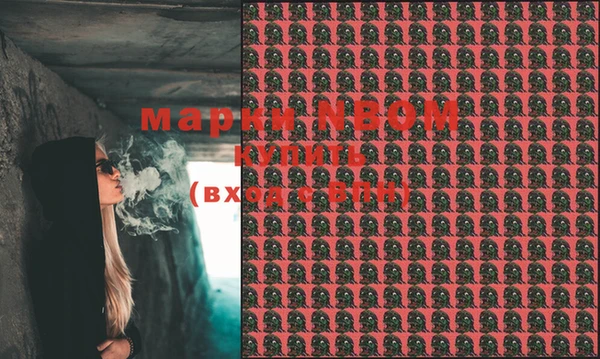 мдпв Абаза