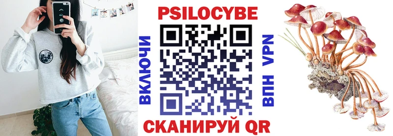 как найти закладки  Карачев  Псилоцибиновые грибы Cubensis 